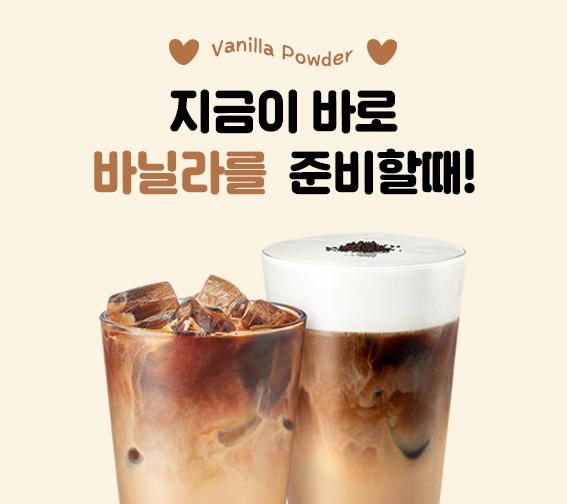 바닐라 파우더 모음전