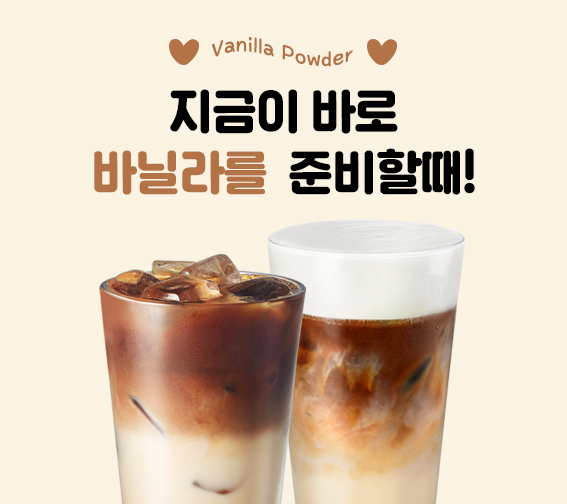바닐라 파우더 모음전